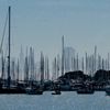 San Francisco Charter Boat gift card