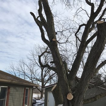 Gest Tree Services 23762 Us 12 Sturgis Mi Gest Tree Services