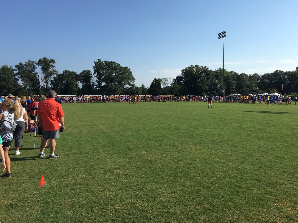 BNA BANK PARK Updated September 2024 1165 Bratton Rd, New Albany, Mississippi Parks Yelp
