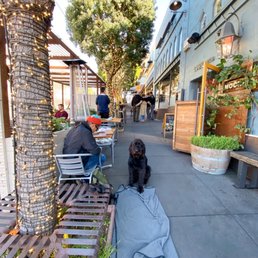 Exterior outside entrance of Mochica - Outdoor dining - pet friendly! - San Francisco, California Exterior outside entrance of Mochica - Outdoor dining - pet friendly! - San Francisco, California