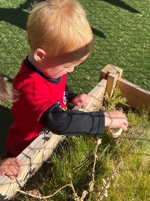 A to Z Building Blocks