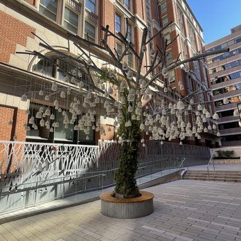 Planet Word Museum - Voice Tree - Museums Near Me - Washington, DC, District of Columbia Planet Word Museum - Voice Tree - Museums Near Me - Washington, DC, District of Columbia