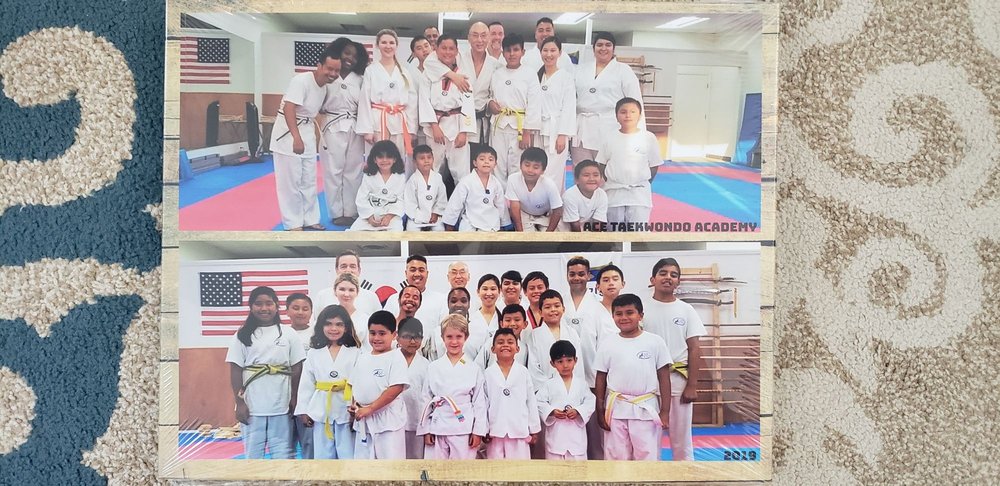 Ace Taekwondo Academy Logo