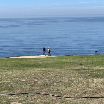 Cliff Hanger Cafe - Waiting for the falcon - Sandwiches Near Me - La Jolla, California