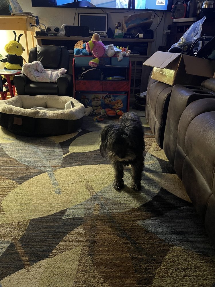 ARGONNE VETERINARY CLINIC Updated October 2024 2421 N Locust Rd