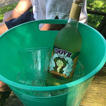 Dove Valley Vineyard - a bottle of wine in a bucket - Wineries Near Me - Rising Sun, Maryland Dove Valley Vineyard - a bottle of wine in a bucket - Wineries Near Me - Rising Sun, Maryland