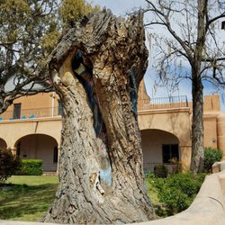 Cottonwood Madonna or Virgin of the Tree