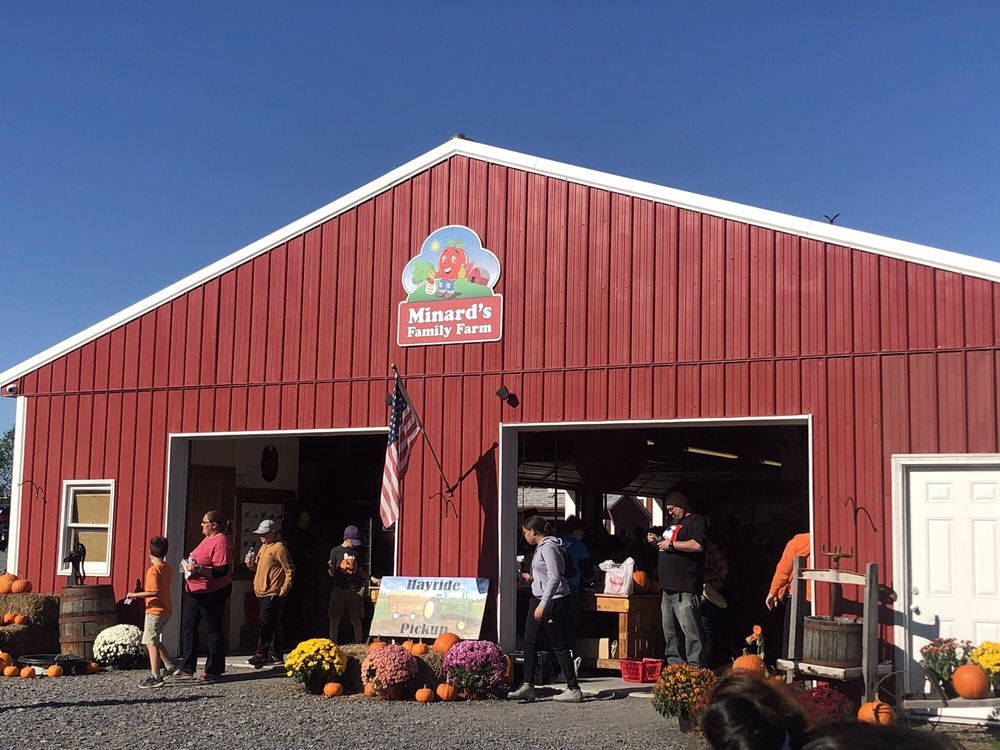 MINARD’S FAMILY FARM 65 Photos & 29 Reviews Farmers Market 250