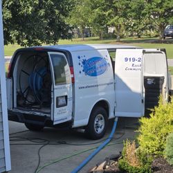 All Aces Carpet Cleaning