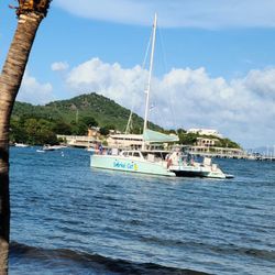 Margaritaville Vacation Club - St. Thomas - The catamaran from the cruise in the bay by the beach at Margaritaville, St Thomas.