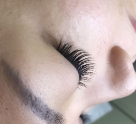 Lashes & Esthetics By Ellie