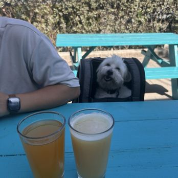 Off Site - Beer - Beer Bar Near Me - Miami, Florida