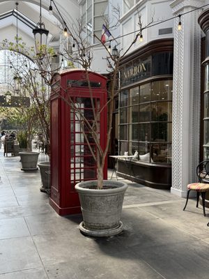 mandarin coffee stand by null