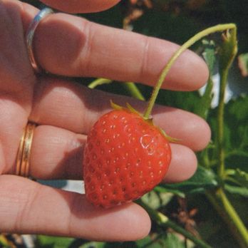 Garden Sweet Farm - CSA Near Me - Fort Collins, Colorado