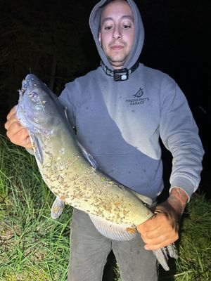 Rappahannock River Campground by null