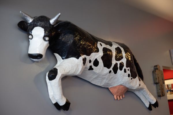 Moo Creamery by null