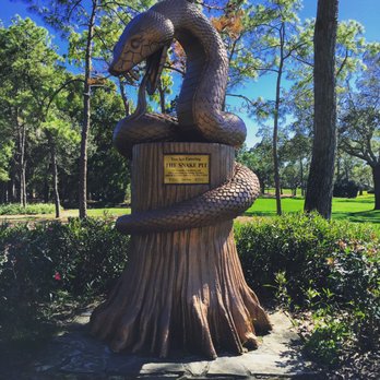 Innisbrook Resort - The famous "Snake Pit" hole that always gives golfers trouble! - Day Spas Near Me - Palm Harbor, Florida Innisbrook Resort - The famous "Snake Pit" hole that always gives golfers trouble! - Day Spas Near Me - Palm Harbor, Florida