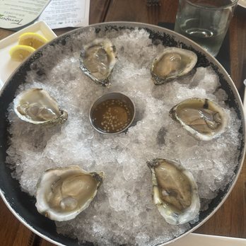 Terrapin Restaurant - Raw oysters - New American Near Me - Virginia Beach, Virginia Terrapin Restaurant - Raw oysters - New American Near Me - Virginia Beach, Virginia