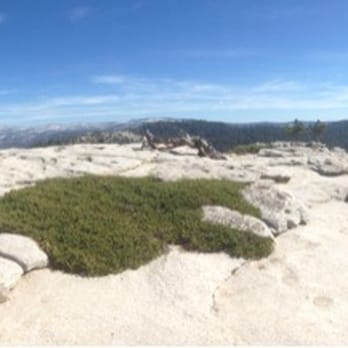 Sentinel Dome & Taft Point - 180 degree more ... - Hiking Near Me