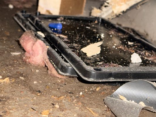 Merrimack Valley Plumbing Logo