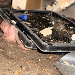 Merrimack Valley Plumbing - They left trash, including rodent traps in an inaccessible wall.