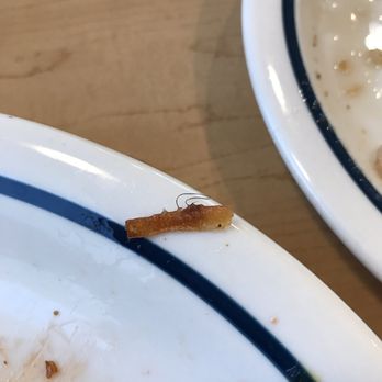 IHOP - Hair with my hash browns...no bueno. - Breakfast & Brunch Near Me - EUSTIS, Florida