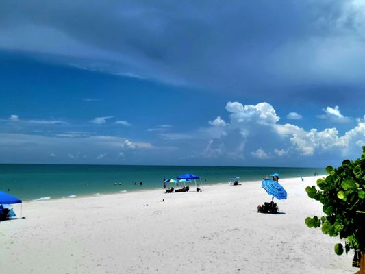 Naples Pier by null