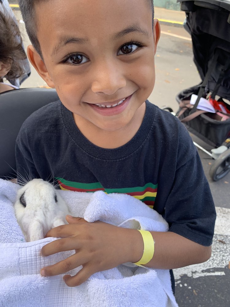 MILILANI SHOPPING CENTER 65 Photos & 31 Reviews 95221 Kipapa Dr