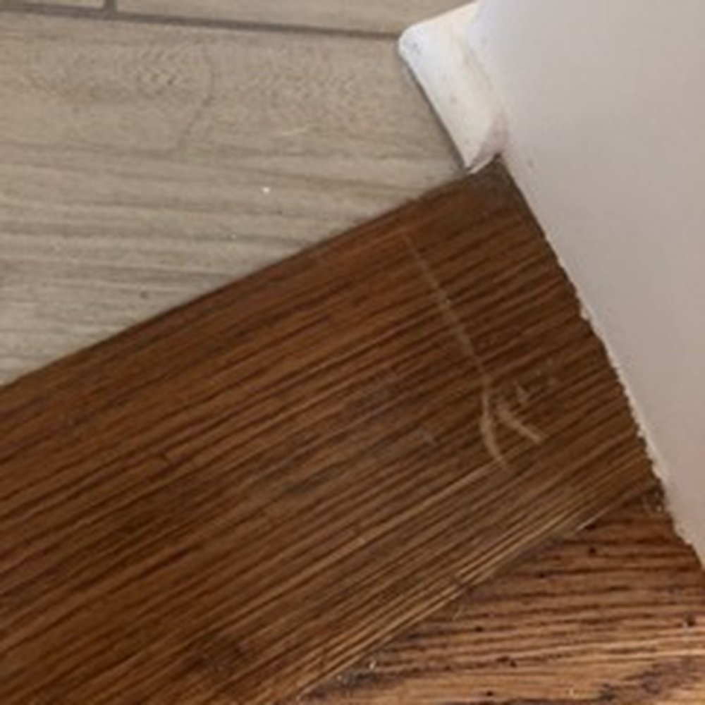 Tiger Movers - Scratched brand new floors - Movers Near Me - Lodi, New Jersey Tiger Movers - Scratched brand new floors - Movers Near Me - Lodi, New Jersey