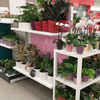 Target - Green Vegetarian - Department Stores Near Me - San Jose, California