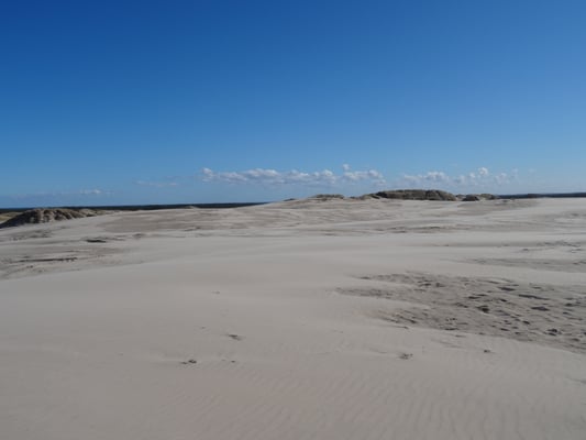 Råbjerg Mile by null