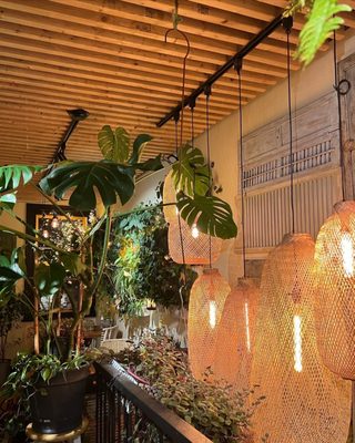Coco Thai Bistro by null