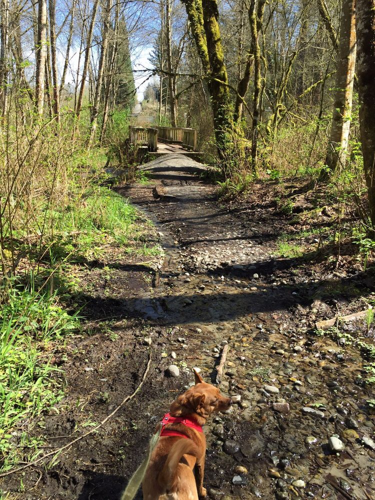 CLARKS CREEK PARK SOUTH 18 Photos & 22 Reviews Dog Parks 1700