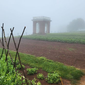 Thomas Jefferson's Monticello - The garden - Landmarks & Historical Buildings Near Me - Charlottesville, Virginia