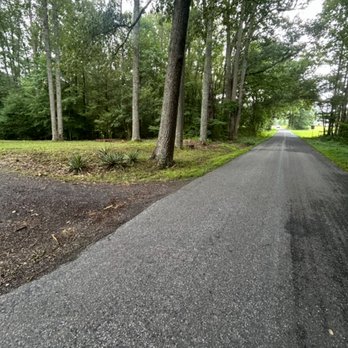 BJ Landscape - Tree Services Near Me - Woodford, Virginia BJ Landscape - Tree Services Near Me - Woodford, Virginia