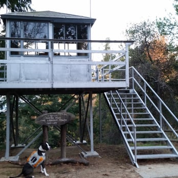 Mt Wilson Toll Road Trail - Sammy at the Castro Peak Fire Tower, 1925-1971, at 2,824 feet in Henninger Flats - Hiking Near Me - Altadena, California Mt Wilson Toll Road Trail - Sammy at the Castro Peak Fire Tower, 1925-1971, at 2,824 feet in Henninger Flats - Hiking Near Me - Altadena, California