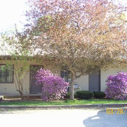 Chalet Motel - Annex side Spring