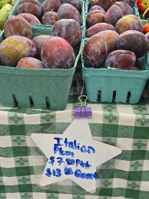 Sellwood Moreland Farmers Market by null