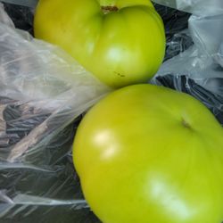 Witten Farm Market - Green tomatoes