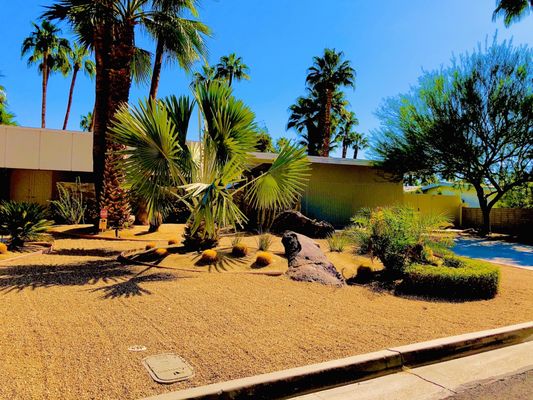 Palm Springs Mod Squad (Architecture Tours) by null