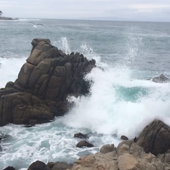 Lovers Point Park - Parks Near Me - Pacific Grove, California Lovers Point Park - Parks Near Me - Pacific Grove, California