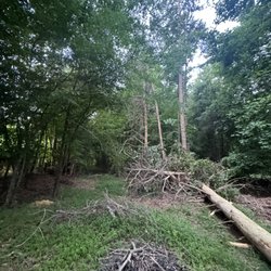 Edwards Lawn Care and Bushhogging - Before mulching