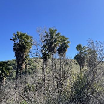 Aliso Canyon Park - It's very windy today. - Hiking Near Me - Granada Hills, California