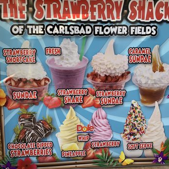 The Flower Fields - Strawberry dessert options - Venues & Event Spaces Near Me - Carlsbad, California The Flower Fields - Strawberry dessert options - Venues & Event Spaces Near Me - Carlsbad, California