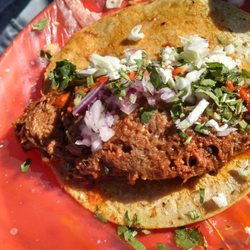 Tacos del Ferrocarril - Taco de borrego (lamb) The bright red salsa was crazy hot.