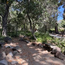 Trail