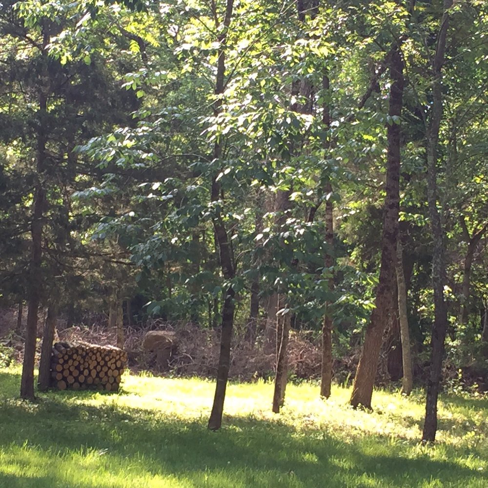 Shadow Mountain Escape - Vacation Rentals Near Me - Luray, Virginia Shadow Mountain Escape - Vacation Rentals Near Me - Luray, Virginia
