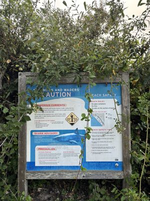 Stinson Beach by null