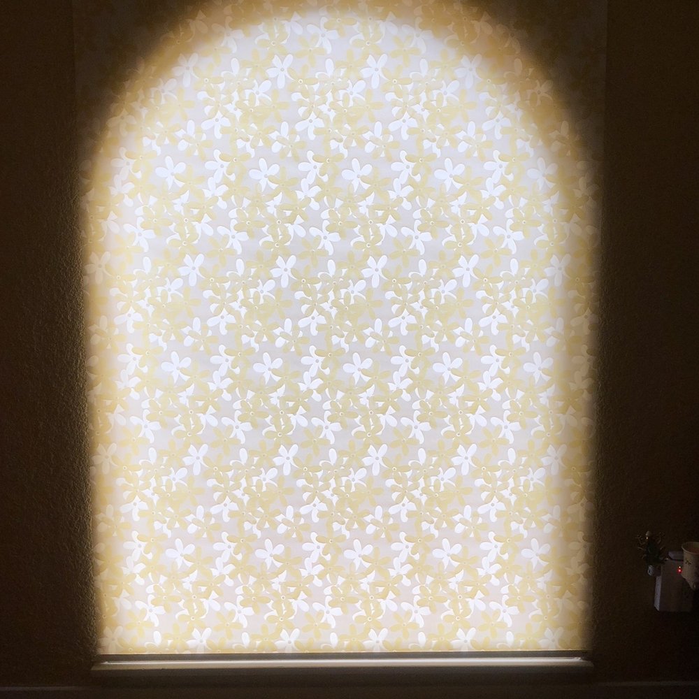 A Blinds - after - Shades & Blinds Near Me - Los Angeles, California