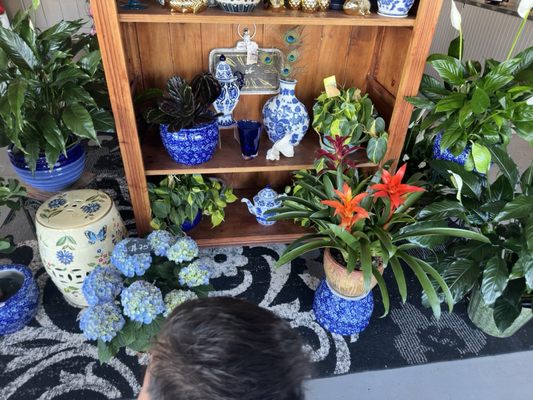 Mrs. DeHaven's Flower Shop by null